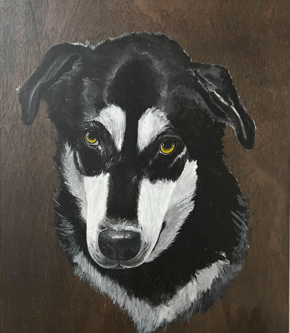 Charming Aber Eyed Husky Acrylics on Hardboard 11x14" - ready to hang (claw grip) SOLD.