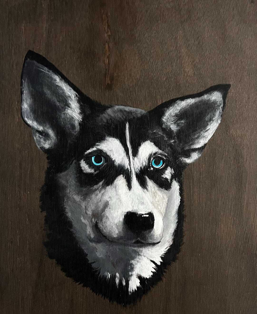 Ice Blue Husky Portrait