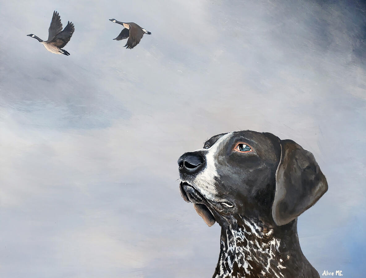 Looking Skyward