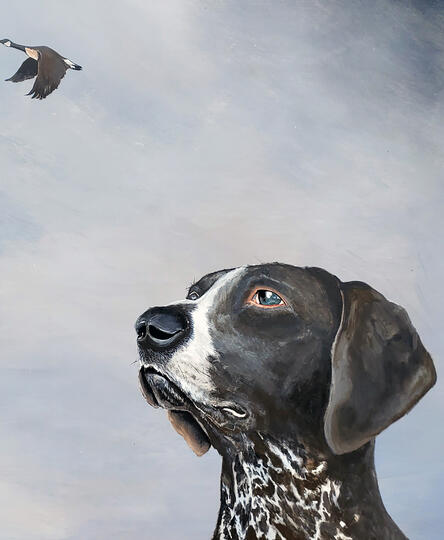 Looking Skyward
