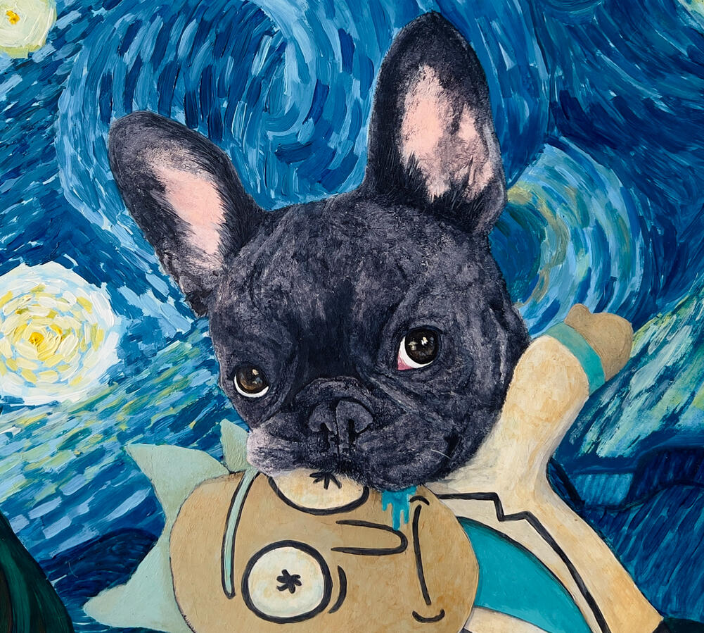 Personal, expressive portraits celebrating the animals who share our lives.