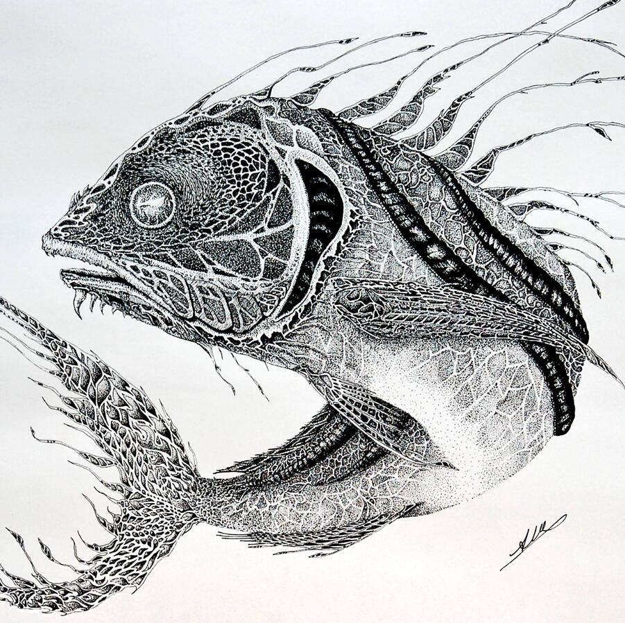 Wicked Roosterfish - ink