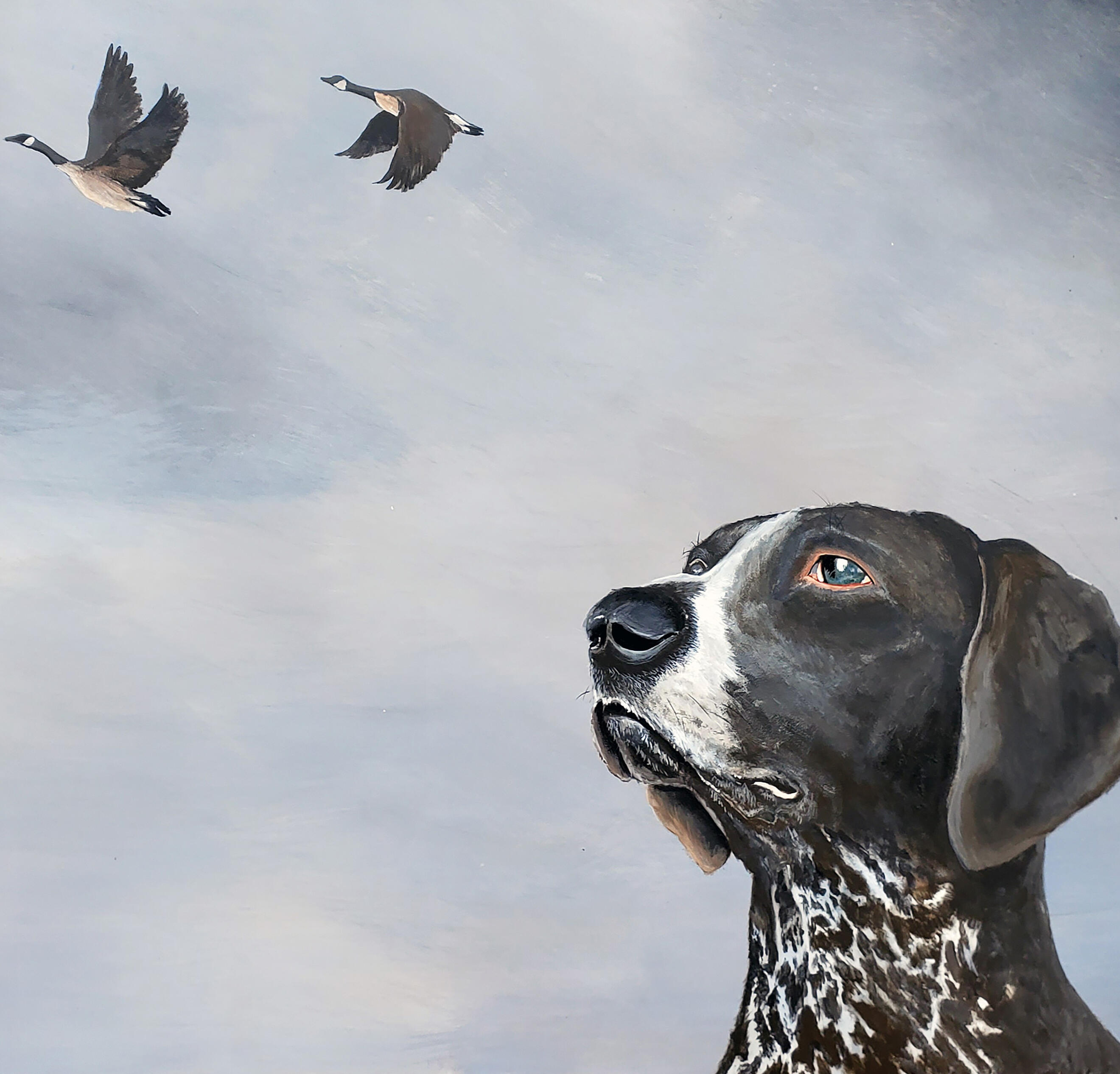 Looking Skyward