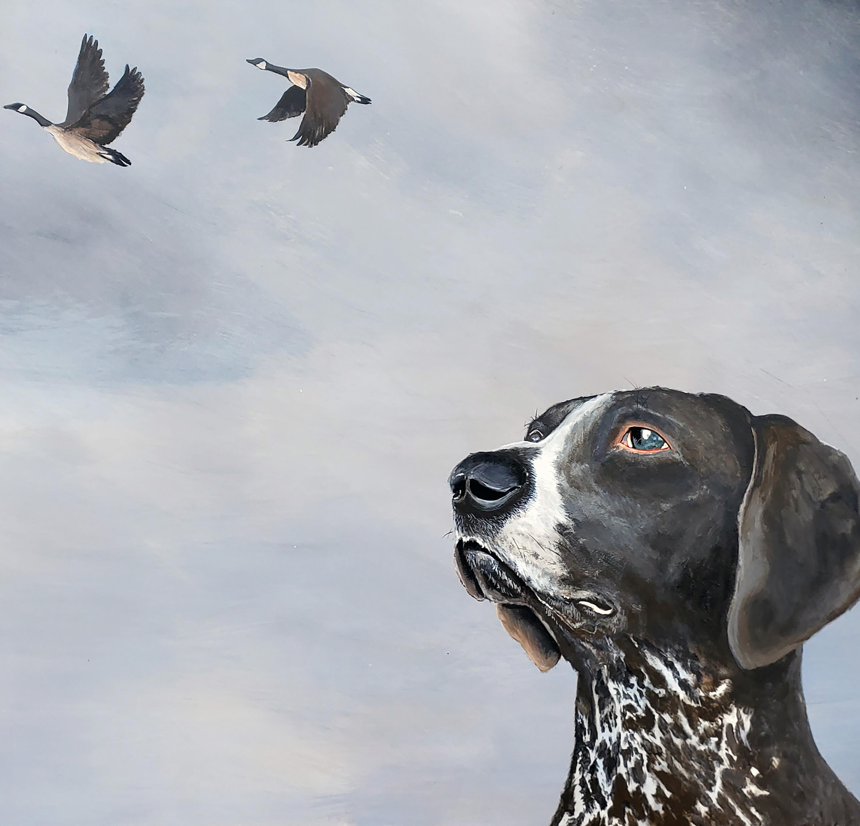 Looking Skyward